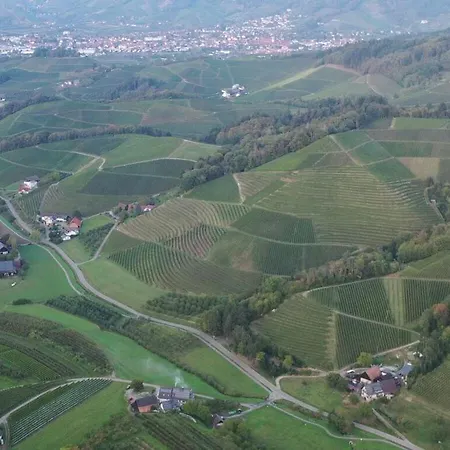 Διαμέρισμα Fantastic In Oberkirch (Baden)