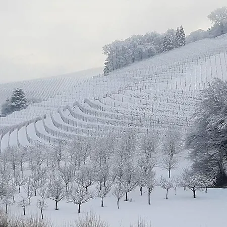 Διαμέρισμα Fantastic In Oberkirch (Baden)
